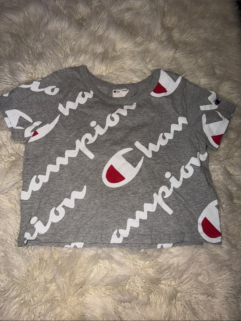 Champion Gray Crop Tee with White Script and Red Logo Details